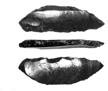 Discovery of Brutal Prehistoric Massacre Pushes Back History of Human Warfare