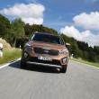 image Kia-Sorento-2015-bruin-058.jpg