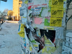 Пример фото, снятых на фронтальную камеру Microsoft Lumia 950 XL