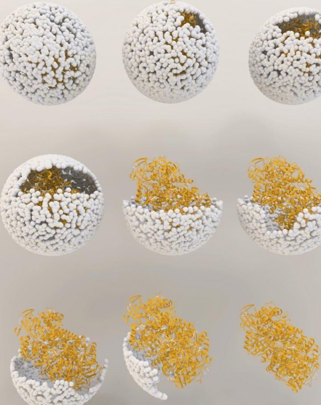 118e7ae839b5f333904edb65daad005b 118e7ae839b5f333904edb65daad005b