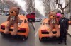 Lambo’s and teddy bears, a ridiculous trend in Asia