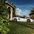 image Lamborghini-Aventador-ADV.1-bronzen-velgen-07.jpg
