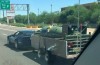 This Corvette has no burden of bumperklevers