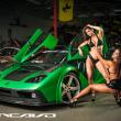 image ddr-motorsport-miami-gt-babes-005.jpg