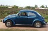 Arab sheikh offers $1 million for presidential Beetle