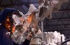 This Is How the AMNH Is Building Its New 122-Foot-Long Dinosaur