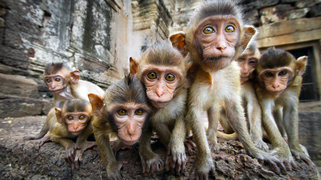 The Science Stories We’ll Be Watching in 2016