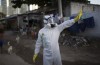De ONS Mag Verwachten ‘Beperkt’ is de Uitbraak van het Virus Zika