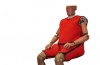 New: plus size crash test dummies