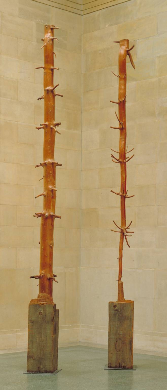 Giuseppe Penone's Hidden Life Within Shows Off A Tree Within A Tree
