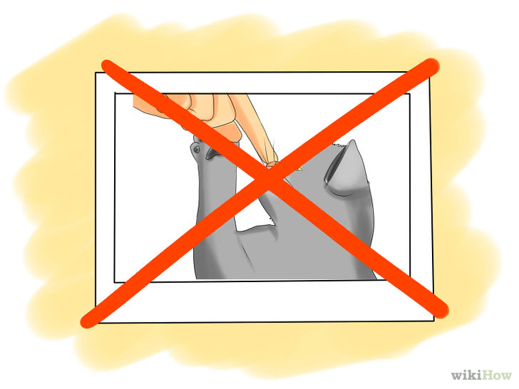 Image titled Avoid Letting Cats Ruin Your Love Life Step 2