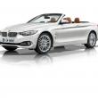 image bmw-4-serie-cabrio-f33-091.jpg