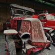 image Brandweerautokerkhofverzameling-011.jpg