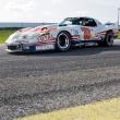 image greenwood-corvette-imsa-racing-coupe-1976-007.jpg