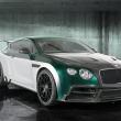 image Mansory-Bentley-Continental-GT-Race-2015-07.jpg