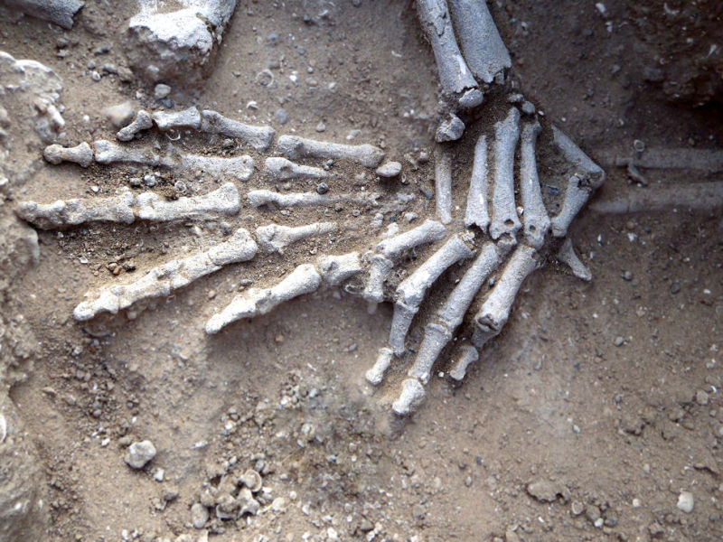 Discovery of Brutal Prehistoric Massacre Pushes Back History of Human Warfare