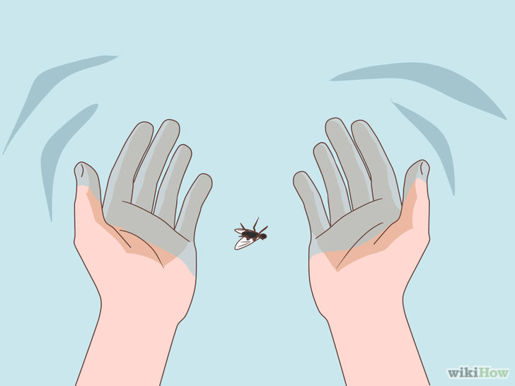 Image titled Appear to Save a Fly From Drowning Step 2