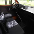 image roy-donders-bus-004.jpg