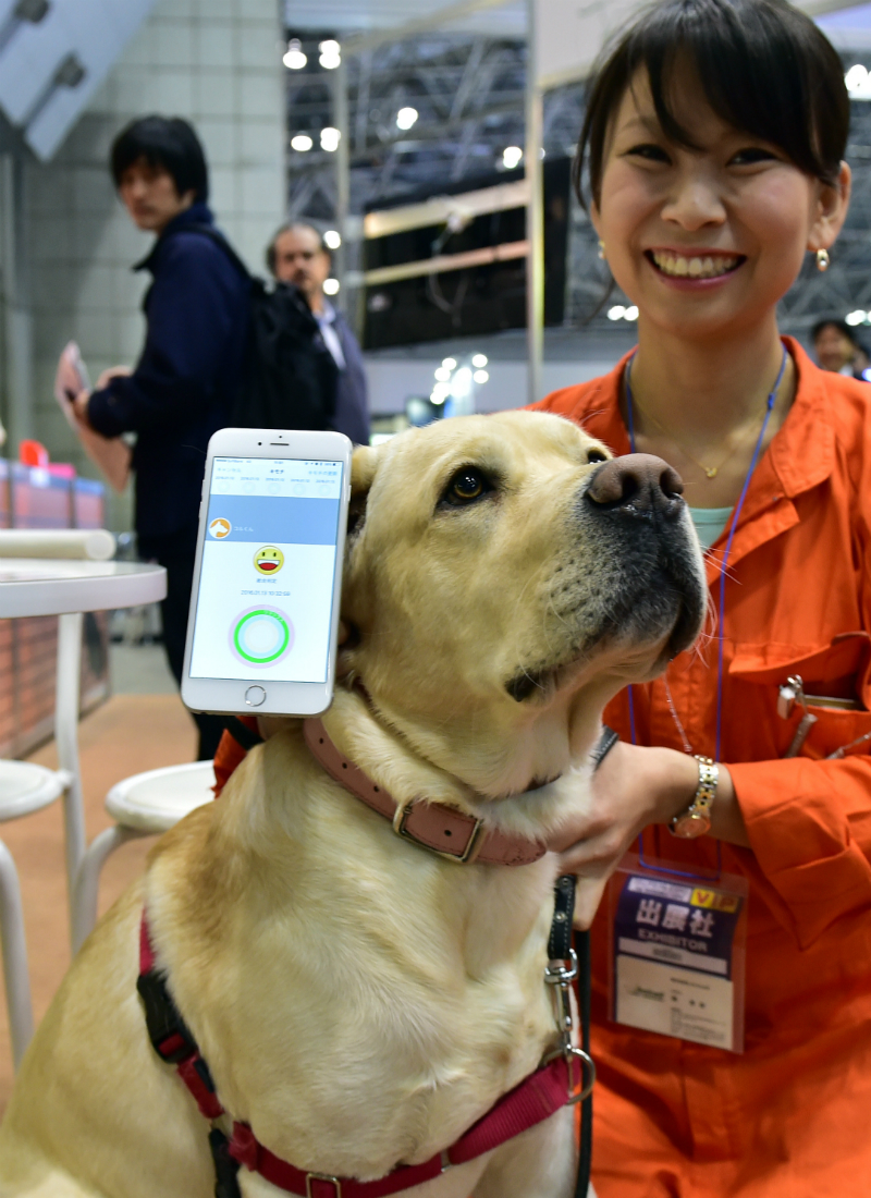 These Smart Glasses Are So Dumb They Make Google Glass Look Genius