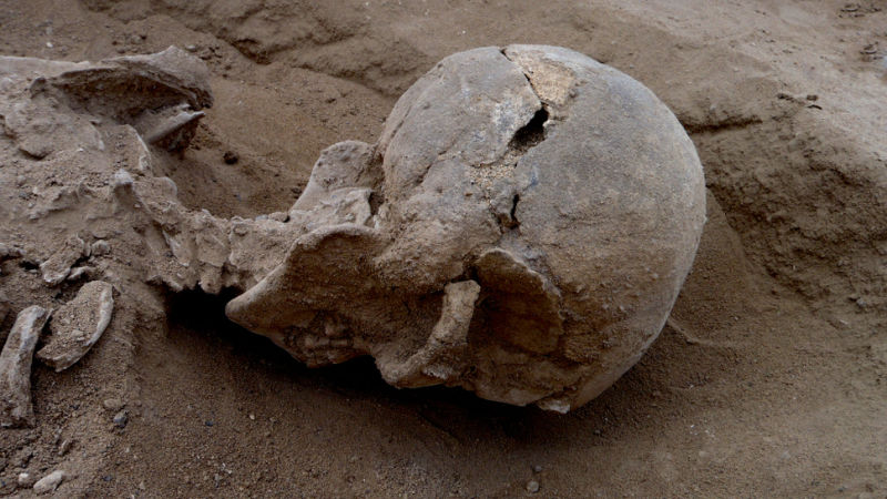 Discovery of Brutal Prehistoric Massacre Pushes Back History of Human Warfare