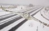 Een Verkeer Camera Veroverde Dit Prachtige Shot van een sneeuwuil in de Vlucht