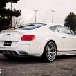 image DMC-Bentley-Continental-GT-002.jpg