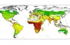 Nye Kort Identificere Eventuelle Hot Spots for Bat-Overførte Sygdomme