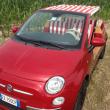 image fiat-500-jolly-car-014.jpg