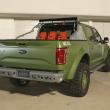 image F-150-Halo-Sandcat-002.jpg
