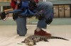 Researchers Want To ‘Build’ Their Own 3D Shark with Beastcam