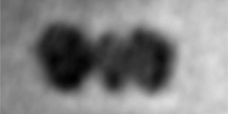 These Are the First Ever Images of a Single Folded Protein
