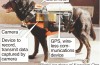 ‘Robodogs” Med Hi-Tech Västar till Hjälp i Katastrofer