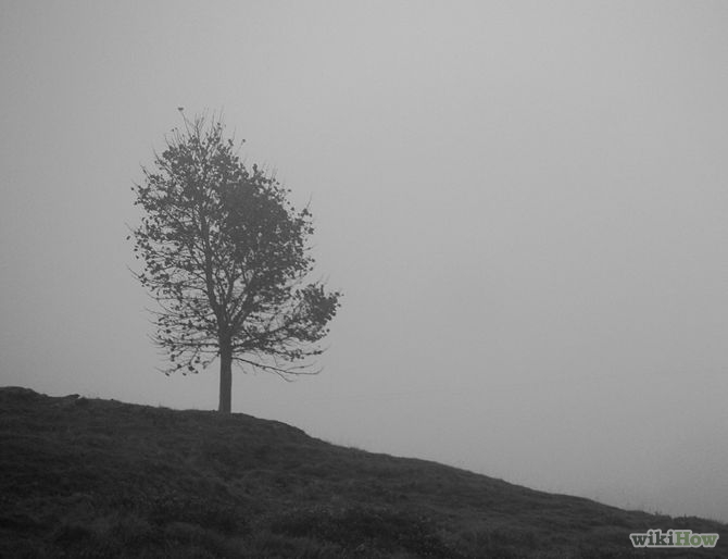 Image titled Accept Being a Quiet and Reserved Person Step 1