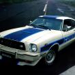 image Ford-Mustang-II-Cobra-01.jpg