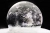 Savor the Ephemeral Beauty of These Frozen Soap Bubbles