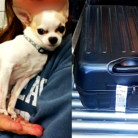 The Crazy Weapons TSA Confiscated In 2015: It Gets Worse Every Year