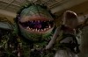 Venus Flytrap Er en Mektig Jeger Fordi Det Kan Telle