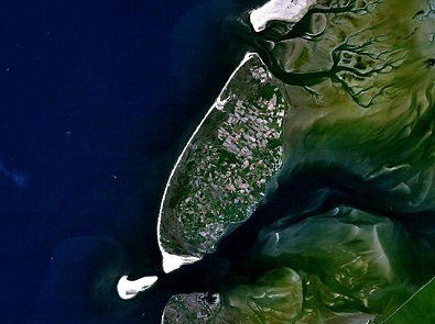 Dead Whales Won't Stop Washing Up on This Dutch Island