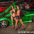 image ddr-motorsport-miami-gt-babes-006.jpg
