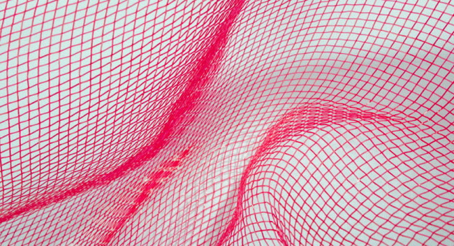 2-mesh
