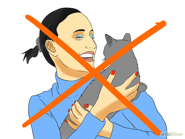Image titled Avoid Letting Cats Ruin Your Love Life Step 5