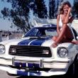 image Ford-Mustang-II-Cobra-03.jpg