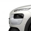 image Citroen-C4-Cactus-2L-016.jpg