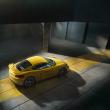 image Porsche-Cayman-GT4-2015-16.jpg
