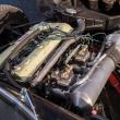 image alfa-romeo-giulia-tz-24.jpg