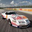 image greenwood-corvette-imsa-racing-coupe-1976-001.jpg