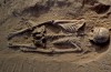 Entdeckung der Brutale Massaker Schiebt Zurück Geschichte der Menschlichen Kriegsführung