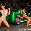 image ddr-motorsport-miami-gt-babes-007.jpg