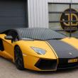 image Lamborghini-Aventador-Back-Yellow-Afrojack-26.jpg