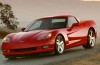 Man and dog die of heat in the Corvette